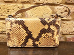 Snakeskin bag